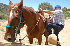 Zion horseback riding